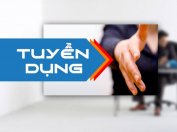 Tuyển cán bộ pháp lý địa bàn kv Bình Định - Công Ty Luật Tnhh Mtv Hpdr 1 Công Ty Luật TNHH MTV Hpdr