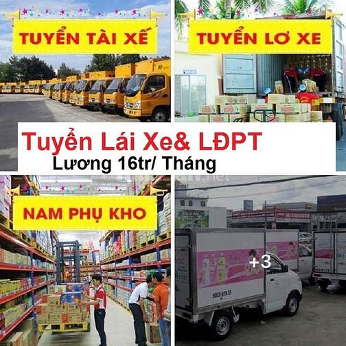 BÌNH ĐỊNH ==> Tuyển Nam Lái Xe Tải Nhẹ + Phụ Lơ + Phụ Kho 1 BINH DINH gt Tuyen Nam Lai Xe Tai Nhe
