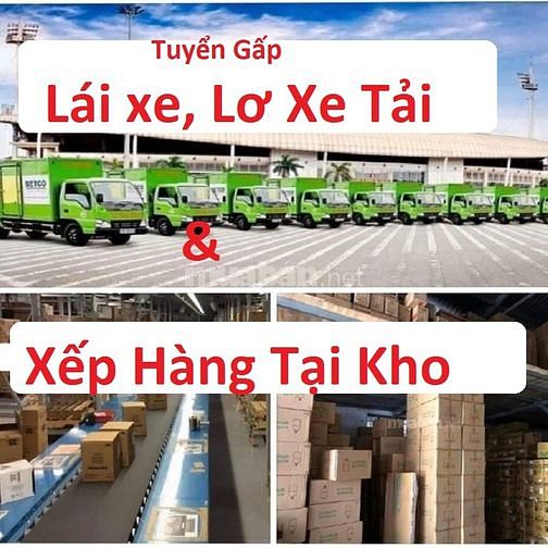 Cần tìm gấp 3 vi trí làm việc tại Bình Định định : tai xế, phụ xe 1 Can tim gap 3 vi tri lam viec tai Binh