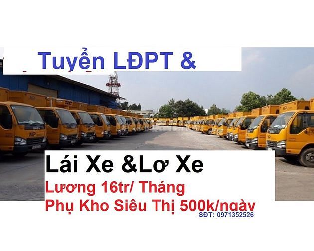 Cần tìm gấp 3vi trí làm việc tại Bình Định định : tai xế, phụ xe 1 Can tim gap 3vi tri lam viec tai Binh Dinh